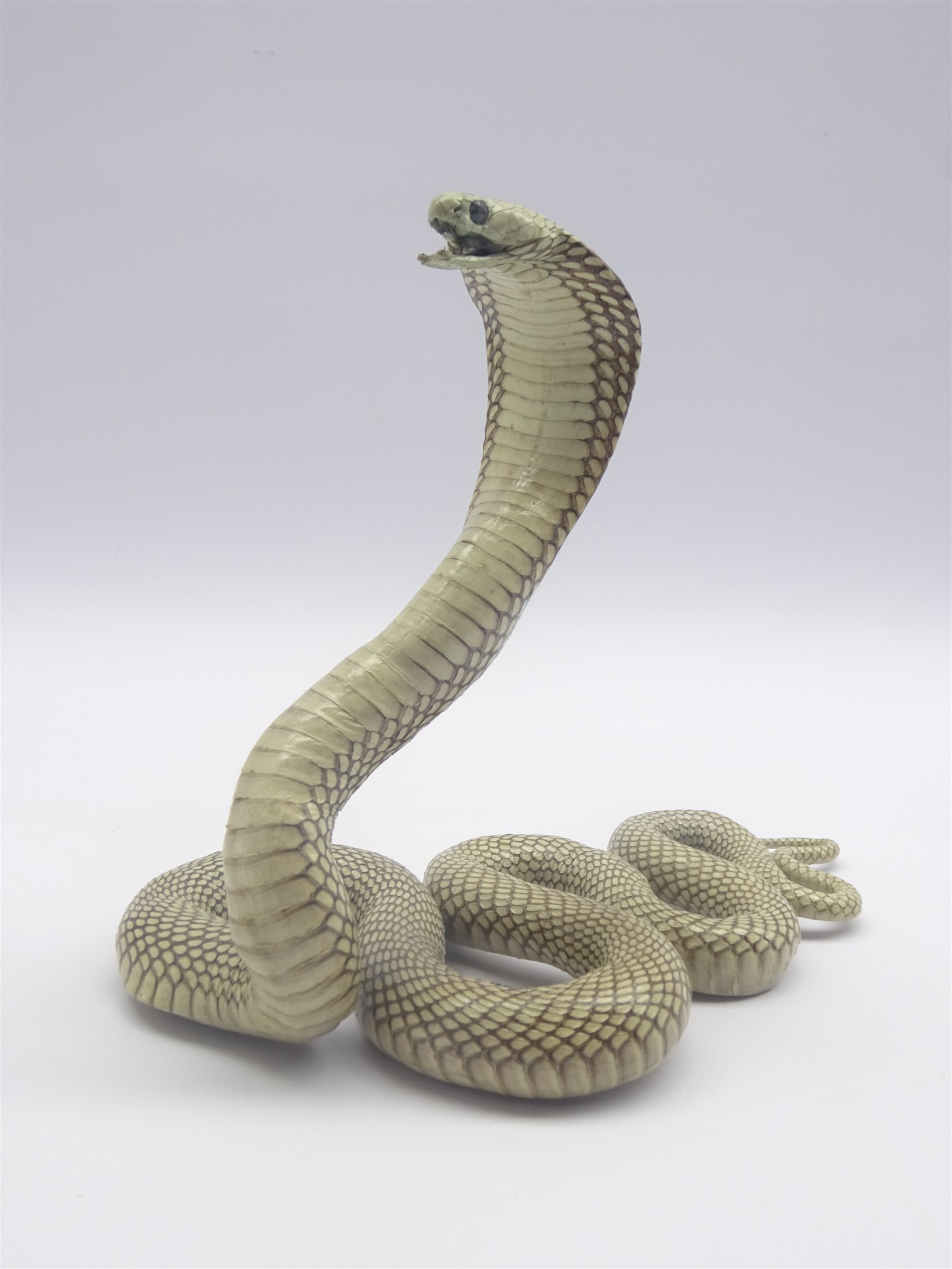 stuffed cobra snake