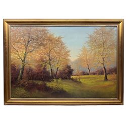 Remsen (Continental 20th century): Autumn Trees, oil on canvas signed 61cm x 91cm