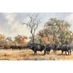 Yvan Dushmanitch (South African 20th century): Water Buffalo, oil on board signed 27cm x 40cm
