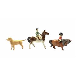  Beswick figure of a girl on skewbald pony, model no 1499, printed mark beneath, (a/f), John Beswick Norman Thelwell figure 'Learner' together with a Beswick Labrador (3)