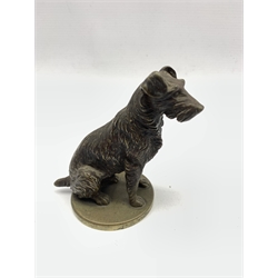 Bronze car mascot in the form of a seated terrier with traces of original paint H10cm
