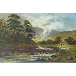  W Meadows (British 19th/20th century): Sheep Grazing by a Stream, oil on canvas signed 50cm x 75cm  