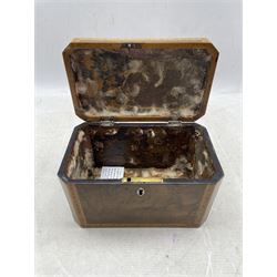George III yew wood tea caddy with satinwood banding, the hinged cover inlaid with a large shell W19cm