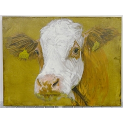 Sarah Williams (British 1961-): Cow, oil on canvas signed verso 41cm x 65cm 
Notes: Sarah graduated from Norwich School of Art and Design in 1984 with a first-class BA Hons in Fine Art and, having won the Stowell's Trophy, was awarded an unconditional place to study MA Painting at the Royal Academy. She comes from a family of creative talent - her father, Reg Williams, was a member of the York Four. During her three years at Norwich Art School, she exhibited regularly in the school gallery and Norwich Castle and visited Switzerland, exhibiting and working with Kurt Rupe. More recently, she has exhibited in galleries around England and has had her own businesses in Interior Design, Architectural Design, Furniture Design and Jewellery. Sarah has recently returned to painting full-time and, having used a multitude of mediums in her creative work, now confesses she is an oil-paint addict. It is 