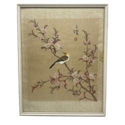 Chinese School (19th/20th century): Birds in Blossom Tree, pair watercolours on silk signed with artists seal 35cm x 30cm (2)