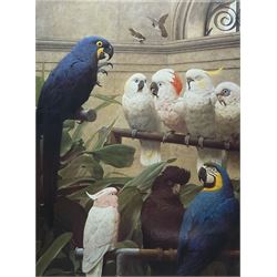 After Henry Stacy Marks (British 1829-898):  'Parrots & Parakeets - A Select Committee', colour print 62cm x 47cm