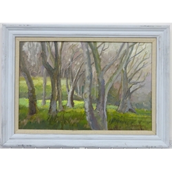 Anne Williams (British 20th century): 'Cliff Top Trees Scarborough', oil on board signed, titled on label verso 35cm x 53cm 
Provenance: direct from the artist's family. Anne was a local artist who lived at Malton and later York.
