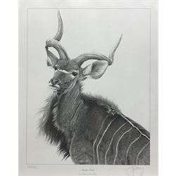 Gary Hodges (British 1954-): 'Greater Kudu', limited edition monochrome print signed and numbered 329/850 in pencil 37cm x 29cm