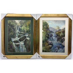 John Arthur Dees (Northern British 1875-1959): 'Waterfalls Two Stages - Green Effect', pair watercolours signed, titled verso 50cm x 35cm (2)
Provenance: from family of artist