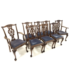 Set eight (6+2) Georgian style mahogany dining chairs, with floral carved cresting rail over pierced splat, drop in seat pads upholstered in blue crushed velvet, raised on cabriole supports terminating in ball and claw feet, W62cm