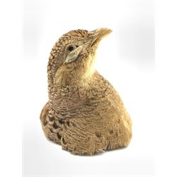 Taxidermy: Hen Pheasant, head mount, H13cm 
