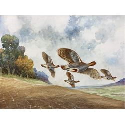 Robert Aitchet (British 20th century): Partridges in Flight, pair watercolours signed 36cm x 51cm (2)