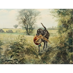 Henry Wilkinson (British 1921-2011): Labrador Retrieving a Pheasant, oil on canvas signed 49cm x 64cm  

DDS - Artist's resale rights may apply to this lot