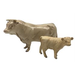 Beswick Charolais bull 2463a and a Charolais calf in matt finish 1827b (2)