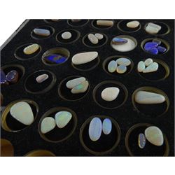 Collection of sixty-six loose opals including black and white opals
