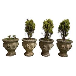 Set of four weathered cast stone urn planters, with lion masks and stone handle decoration