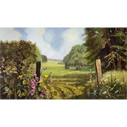 Linda Wallis (British Contemporary): 'Green Pastures', Surrey countryside scene with resting cows framed by wildflowers, oil on board signed 35cm x 60cm