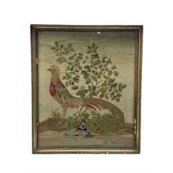 Victorian Berlin work wool picture of a pheasant, standing amongst shrubs and ferns, worked in coloured wools of reds, greens and browns, in glazed gilt frame, 74cm x 62cm 