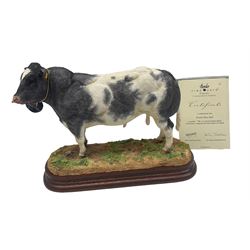 Border Fine Arts Limited Edition British Blue Bull by Kirsty Armstrong No. 70/500 boxed and with certificate