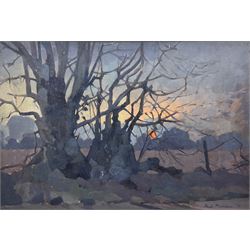 Hugh Ralph Micklem (British 1918-2009): Sunset Through the Trees, oil on board signed and dated '70, 37cm x 54cm
