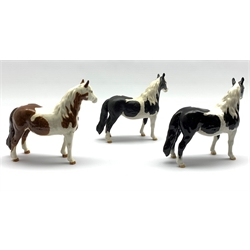 Beswick Piebald Pinto pony in gloss, another matt and a Skewbald Pinto pony in gloss, Model No.  1373, all second versions (3)