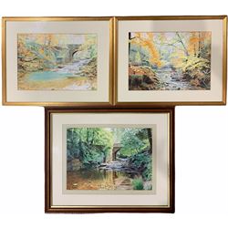 Robert Parkin (Northern British contemporary): 'Little Beck near Whitby in Autumn' and 'Falling Foss Hermits cave', three watercolours signed max 27cm x 37cm (3)