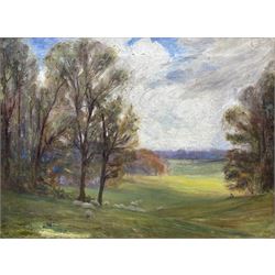 Owen Baxter Morgan (British exh.1898-1907): Sheep Grazing in an Open Rural Landscape, oil on canvas signed verso 37cm x 50cm