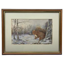 John Harlow (British 20th century): Red Squirrel in Winter Landscape, pastel signed and dated '95, 20cm x 31cm