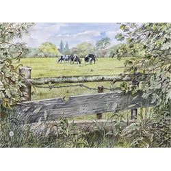 Tom Griffiths (British 1902-1990): Cows Grazing in a Rural Pasture, watercolour signed and dated 1985, 28cm x 37cm