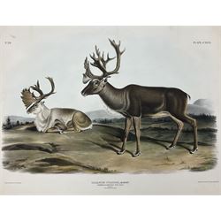 John Woodhouse Audubon (American 1812-1862): 'Tarandus Furcifer Agassiz - Caribou or American Rein-Deer (Males - 1. Summer Pelage 2. Winter Pelage)', Plate 126 from 'The Viviparous Quadrupeds of North America', lithograph with hand colouring pub. John T Bowen, Philadelphia 1847, 55cm x 70cm (unframed) Provenance: Vendor acquired through family descent - Audubon's son (colourer of prints) was married to the vendor's relative (great grand-father's sister).