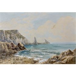 William Henry Dyer (British fl.1890-1930): Coastal Scene with Seagulls, watercolour signed 21cm x 31cm