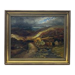 GW (Scottish Early 20th century): Stronachlachar Trossach, oil on board signed with initials and titled verso 47cm x 60cm