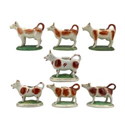 Seven Victorian Staffordshire cow creamers with brown markings, set on oval bases green painted bases, some with gilt borders, H15cm max (7)