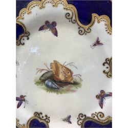 Pair of Flight, Barr & Barr cabinet plates painted with shells and butterflies within a dark blue and gilt border, impressed and printed mark D22cm  (one restored)