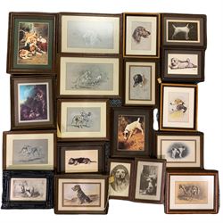 Large collection of small framed dog related prints, including some after Cecil Aldin (19)