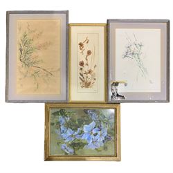 English School (early 20th century): Clematis, watercolour unsigned; Japanese school (19th century): Foxgloves and Carnations, two watercolours indistinctly signed and dated '90; framed press flowers signed N Berg max 36cm x 26cm (4)