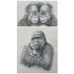 Peter Hildick (British Contemporary): 'Baby Love' and 'The Twins', set two black and white limited edition prints signed titled and numbered in pencil max 44cm x 36cm