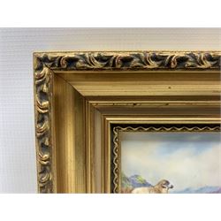 20th century rectangular porcelain panel by F. Clark, hand painted with Highland sheep against mountainous landscape, signed F. Clark a former Worcester artist, set within gilt frame, 8.5cm x 11cm 