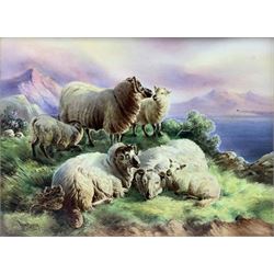 Pair of rectangular porcelain panels by John Bailey, hand painted with Highland Cattle and Sheep against a mountainous landscape, set within gilt frames, each signed John Bailey, 22cm x 30cm (2)