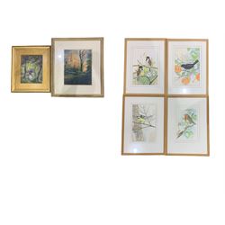 JMW (British 20th century): 'Autumn Colours', pastel signed, English School (early 20th century): River with Tree Canopy Landscape, watercolour unsigned, English School (early 20th century) F Marsdin (British 20th century): 'Blue Tit' 'Robin' 'Blackbird' and 'Red Buntings', set four watercolours (6)