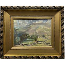English School (20th century): Impressionist Hilly Landscape with Cottages, oil on canvas board unsigned 25cm x 34cm