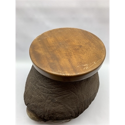 Taxidermy: Elephant foot stool/ storage box with fitted wooden lift off cover, H38cm x W50cm with CITES A10 (non transferable) licence no. 595725/01