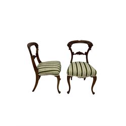 Pair of rosewood balloon back dining chairs 