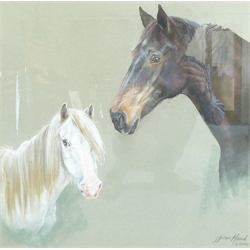  Susan Maud (British Contemporary): Horse Portraits, pastel signed and dated 2000, 51cm x 51cm  