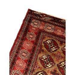 Persian Bokhara red ground rug, the field decorated with four columns of Gul motifs with stylised roods between, the banded border with stylised star motifs in alternating shades