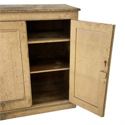 19th century rustic painted pine cupboard, fitted with two panelled cupboard doors enclosing two shelves, on plinth base