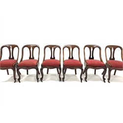 Set six Victorian mahogany dining chairs, pierced splats, drop in upholstered seat pads, raised on scrolled cabriole front supports and brass castors, W50cm