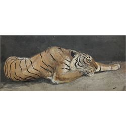 BWC (Continental Early 20th century): Portrait of a Recumbent Tiger, watercolour signed 20cm x 43cm