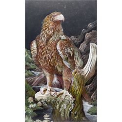 English School (20th century): Golden Eagle Perched on Branch before River, gouache signed and dated 1979, 48cm x 29cm