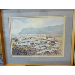 Herbert W Hearn (British 20th century): Seagulls on the Scaur 'Robin Hood's Bay', watercolour signed, titled verso, River Landscape, watercolour signed Angus McKay, and another watercolour of a waterfall indistinctly signed, max 27cm x 38cm (3)